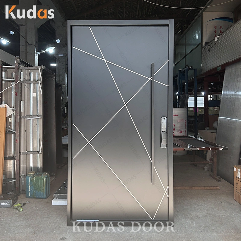 بناء الأمن يلقي الألومنيوم الإطار المعدني باب المدخل