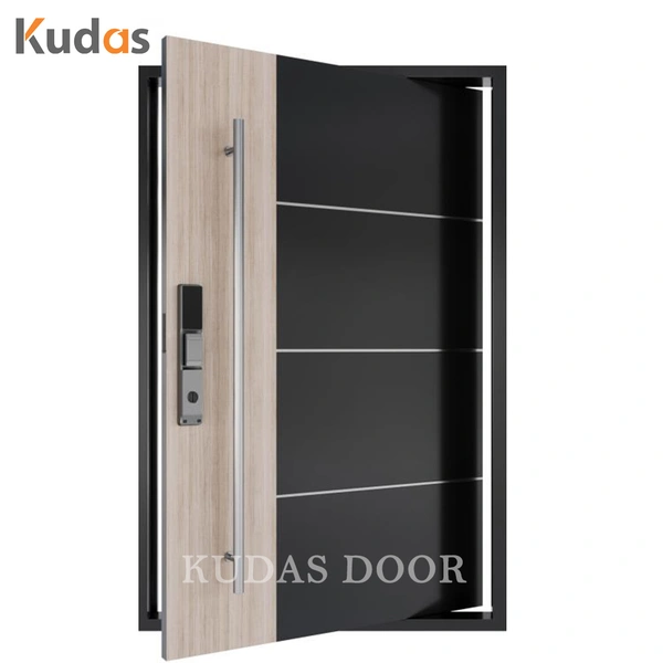 Black Color Front Entry Stainless Steel Main Swing Door