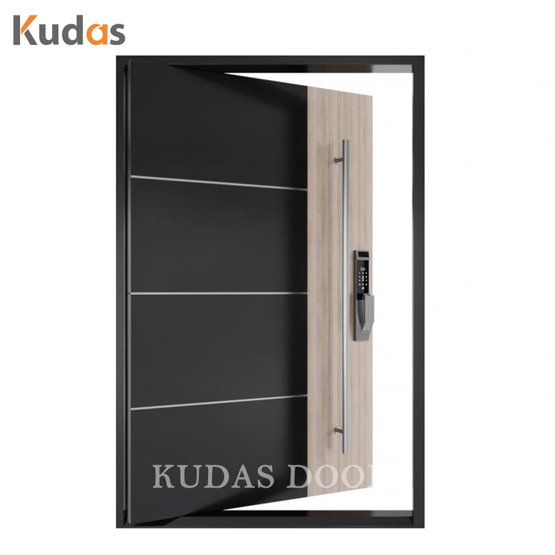 Black Color Front Entry Stainless Steel Main Swing Door