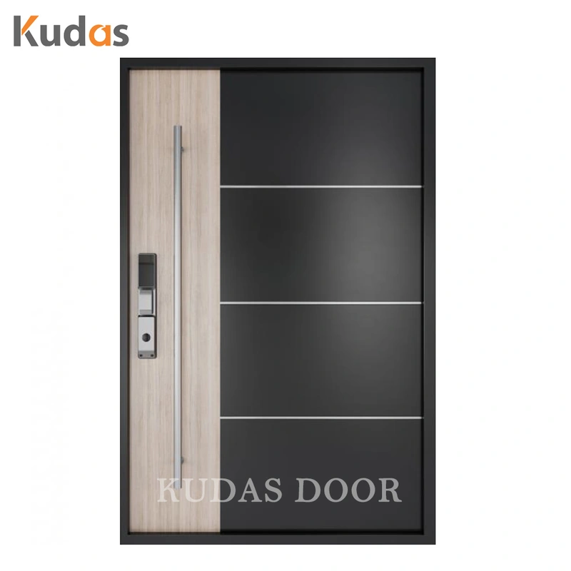 Black Color Front Entry Stainless Steel Main Swing Door