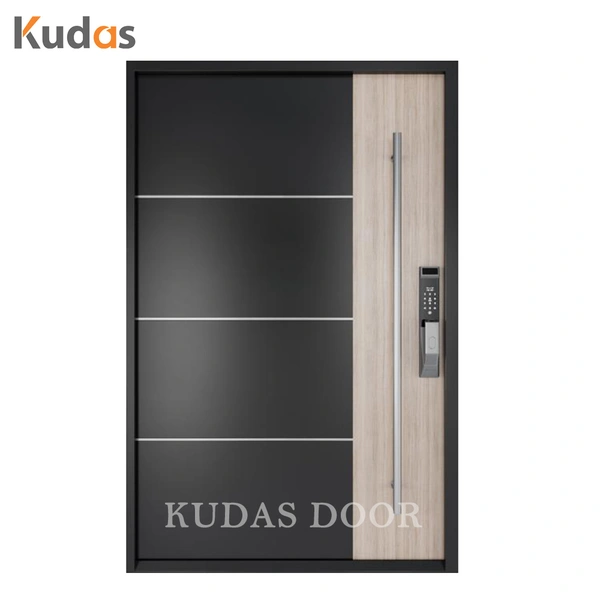 Black Color Front Entry Stainless Steel Main Swing Door