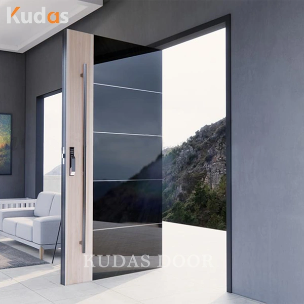 Black Color Front Entry Stainless Steel Main Swing Door