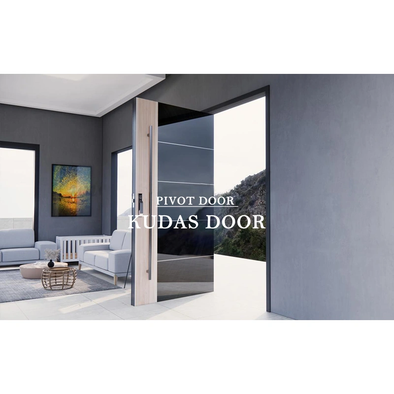 Black Color Front Entry Stainless Steel Main Swing Door