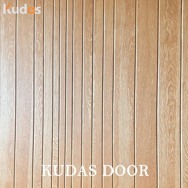 Main Entrance Security Solid Wood Sound Insulated Front Entry Doors