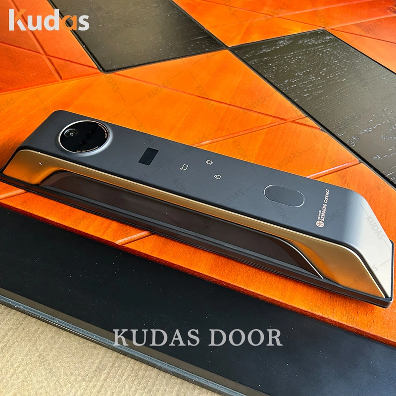 Double Color Timber Veneer Solid Wooden Entry Exterior Front Main Door