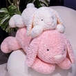 Plush Toys | Stuffed Toys | Custom & Wholesale Options Available