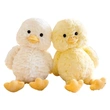 Plush Toys | Stuffed Toys | Custom & Wholesale Options Available