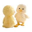 Plush Toys | Stuffed Toys | Custom & Wholesale Options Available