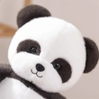 Plush Toys | Stuffed Toys | Custom & Wholesale Options Available