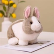Plush Toys | Stuffed Toys | Custom & Wholesale Options Available