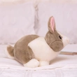 Plush Toys | Stuffed Toys | Custom & Wholesale Options Available