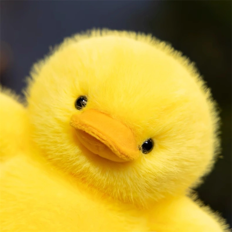 Plush Toys | Stuffed Toys | Custom & Wholesale Options Available