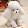 Plush Toys | Stuffed Toys | Custom & Wholesale Options Available