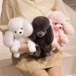 Plush Toys | Stuffed Toys | Custom & Wholesale Options Available