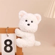 Plush Toys | Stuffed Toys | Custom & Wholesale Options Available