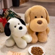Plush Toys | Stuffed Toys | Custom & Wholesale Options Available