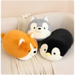 Custom Plush Toy Manufacturer | Low MOQ OEM Supplier