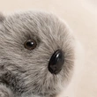Custom Plush Toy Manufacturer | Low MOQ OEM Supplier