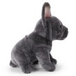 Plush Toys | Stuffed Toys | Custom & Wholesale Options Available