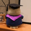 Custom Plush Toy Manufacturer | Low MOQ OEM Supplier