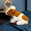 Custom Plush Toy Manufacturer | Low MOQ OEM Supplier