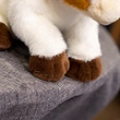 Custom Plush Toy Manufacturer | Low MOQ OEM Supplier