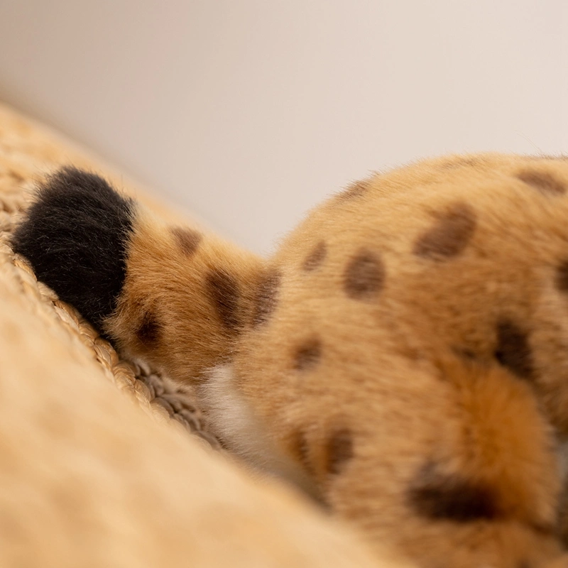 Custom Plush Toy Manufacturer | Low MOQ OEM Supplier