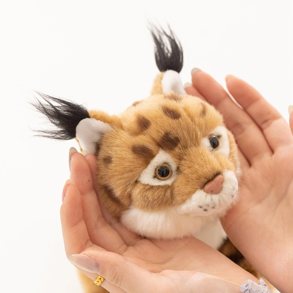 Custom Plush Toy Manufacturer | Low MOQ OEM Supplier