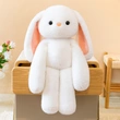 Custom Plush Toy Manufacturer | Low MOQ OEM Supplier