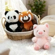 Custom Plush Toy Manufacturer | Low MOQ OEM Supplier