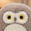 Custom Plush Toy Manufacturer | Low MOQ OEM Supplier
