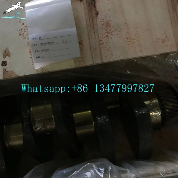  Crankshaft 61560020029 VG1560020029|LEO Auto Parts 