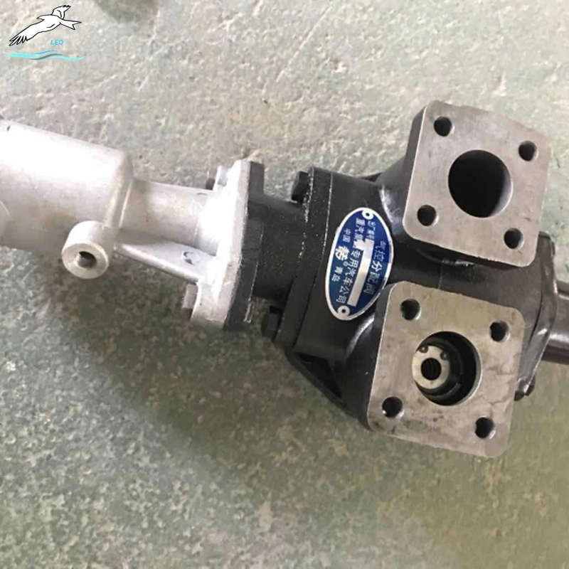 Gear Pump CBD-F100|LEO Auto Parts 