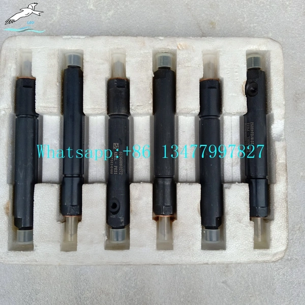 Fuel Injector|LEO Heavy Truck Parts 