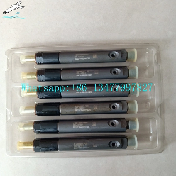 Fuel Injector|LEO Heavy Truck Parts 