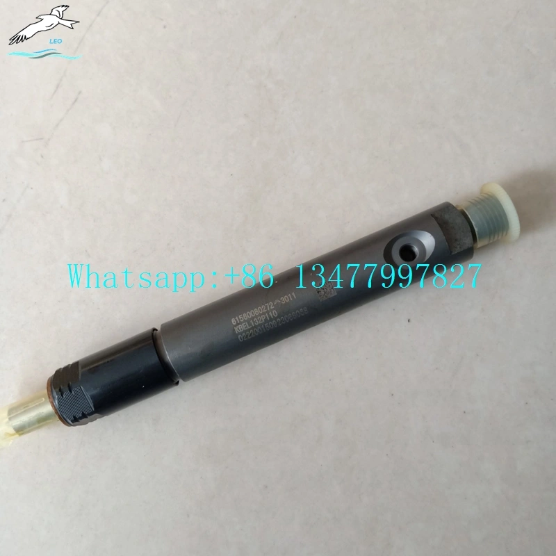 Fuel Injector|LEO Heavy Truck Parts 
