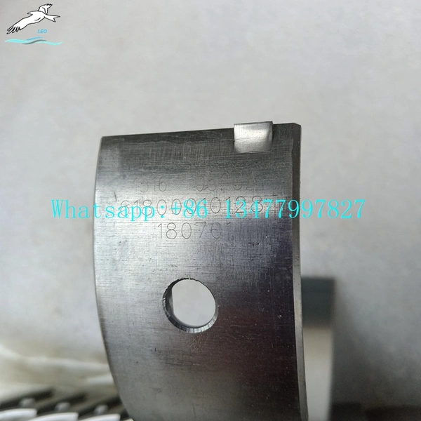 Main Bearing|LEO Heavy Truck Parts 