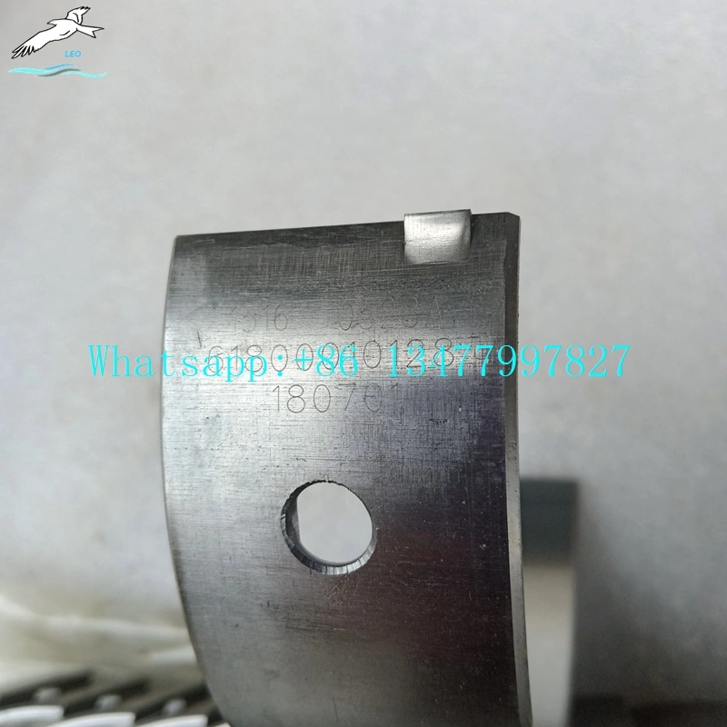 Main Bearing|LEO Heavy Truck Parts 