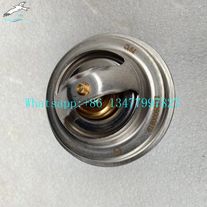  Thermostat |LEO Heavy Truck Parts 