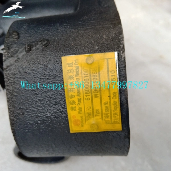  Water Pump|LEO Heavy Truck Parts 