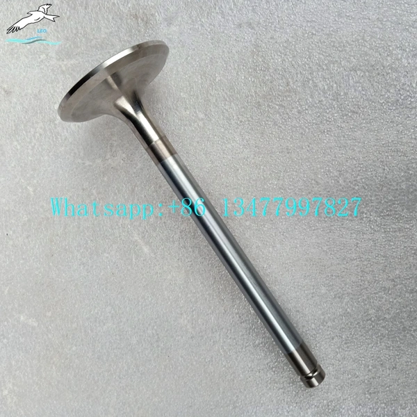 Intake Valve Assembly|LEO Heavy Truck Parts 