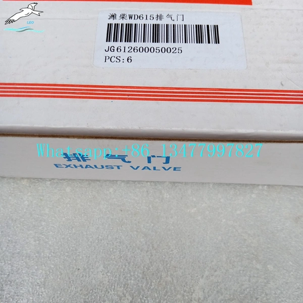 Intake Valve Assembly|LEO Heavy Truck Parts 