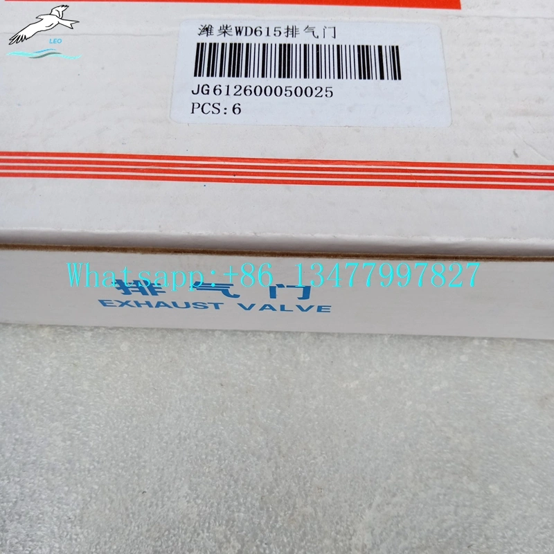 Intake Valve Assembly|LEO Heavy Truck Parts 