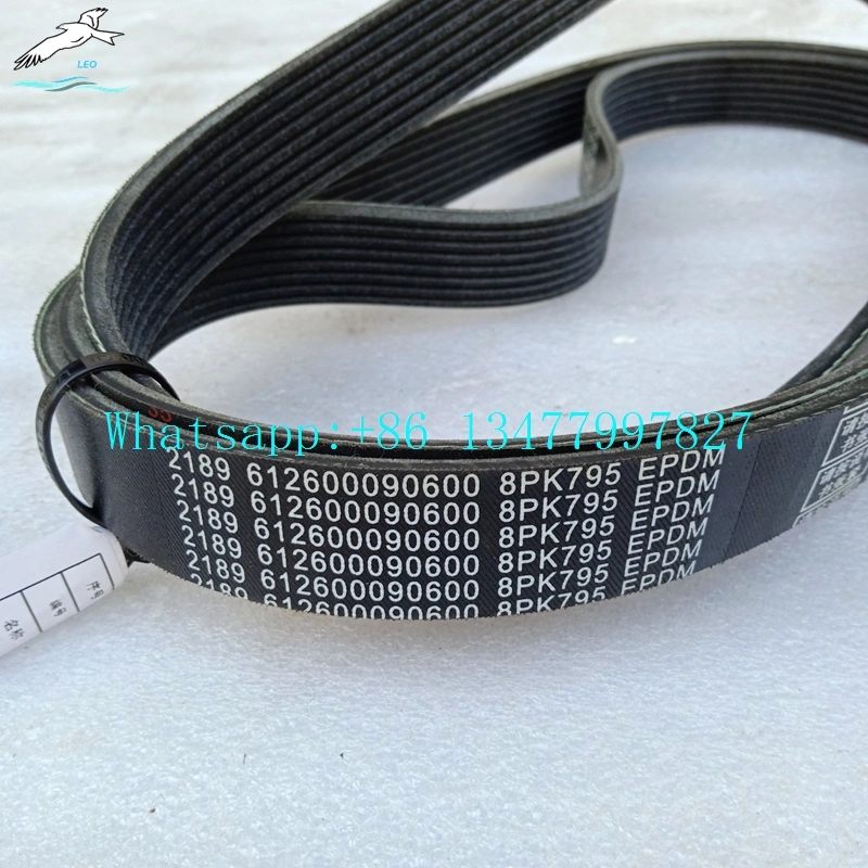 Fan Belt|LEO Heavy Truck Parts 