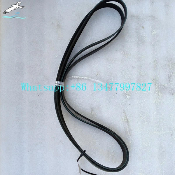 Engine Belt |LEO Heavy Truck Parts 