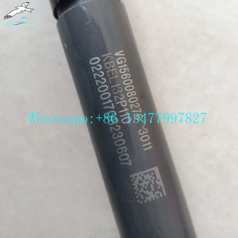 Fuel Injector|LEO Heavy Truck Parts 