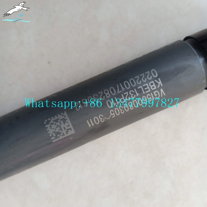 Engine Fuel Injector|LEO Heavy Truck Parts 