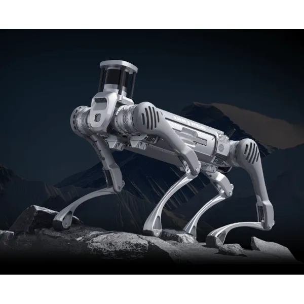 Unitree B2 Industrial Quadruped Robot | 6m/s Speed, 360N·m Torque, 120kg Payload, IP67 Robot Dog
