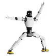 AGIBOT X2 Humanoid Robot | Compact Half-Size Biped Robot for Commercial Shows & Custom Interactive Performance