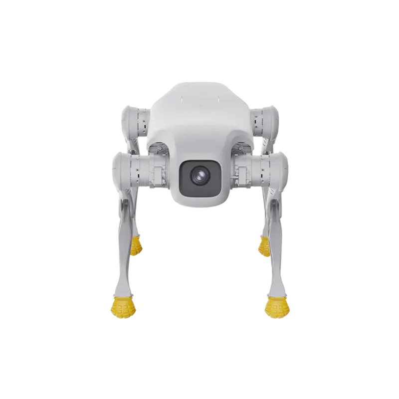 AGIBOT D1 Pro Quadruped Robot | Embedded Reinforcement Learning All-Terrain Four-Legged Robot